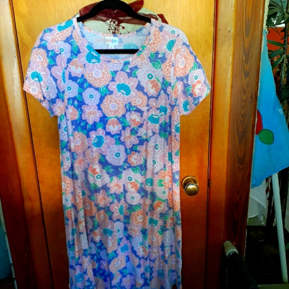 Lularoe Carly dress